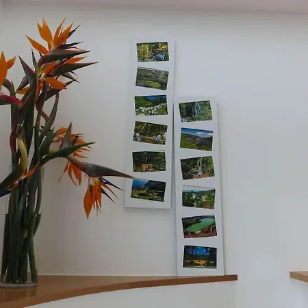 Ocean Garden House - Azorean Butler Holiday home